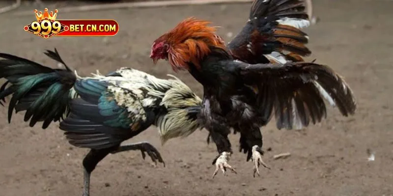 Nguồn gốc và lịch sử hình thành nên trò chơi